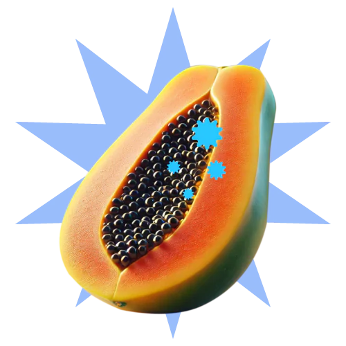 Ilustración de papaya abierta con marcas destacadas que representan posibles síntomas de infecciones de transmisión sexual.